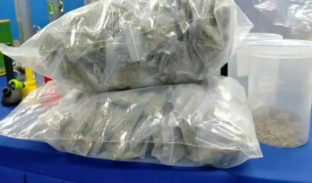 Police Officials Seize 492 Kgs Cannabis in India's Sri Sathyasai district