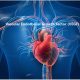Vascular Endothelial Growth Factor -VEGF Human