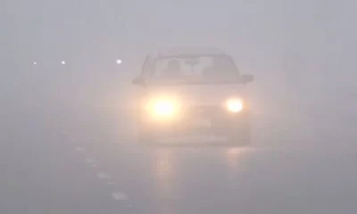 Persistent Fog In Lahore, Pakistan Disrupts Traffic On Motorways.