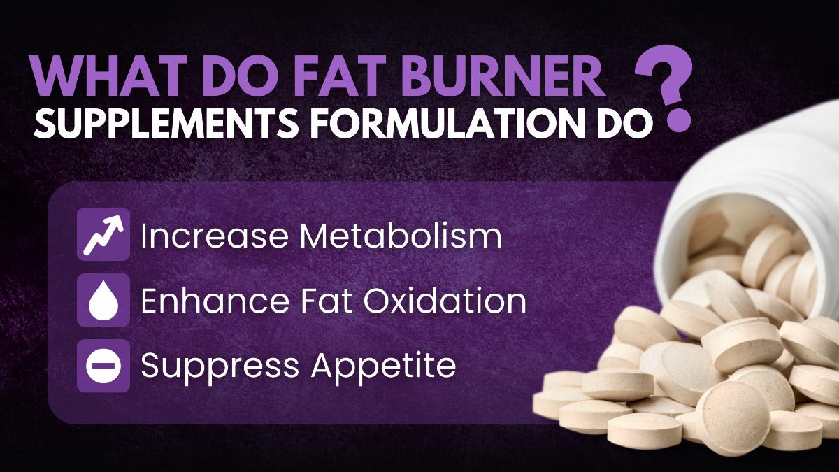 Best Fat Burners Supplements 2024 Ingredients, Price, And Benefits Of