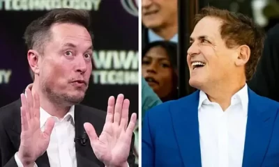 Elon Musk Bite Shark Tank's Mark Cuban's Head Off - But Why?