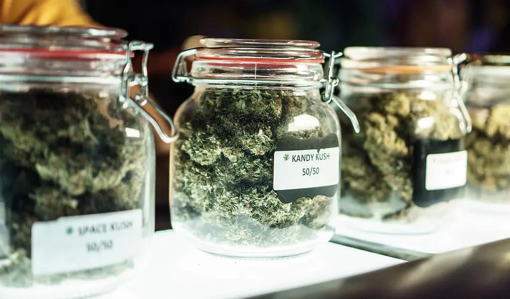 Cannabis Culture: Proper Etiquette When Visiting Your First Dispensary