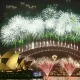 Fireworks For New Year 2024 To Start In NZ And Australia.