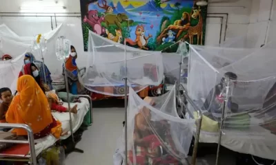 Bangladesh's First Dengue Fever Death In 2024.