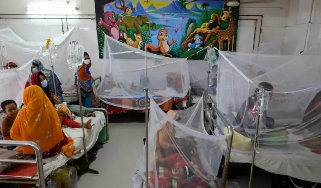 Bangladesh's First Dengue Fever Death In 2024.