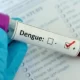 Zero Dengue Deaths In Bangladesh, 33 Cases In 24 Hours