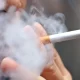 Study Finds Smokers Are Twice As Likely To Quit Using Cytisine