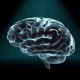 Gray Brain Matter Volume Is Lower In People With Early Onset Psychosis