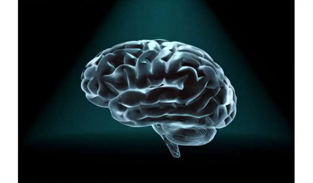 Gray Brain Matter Volume Is Lower In People With Early Onset Psychosis