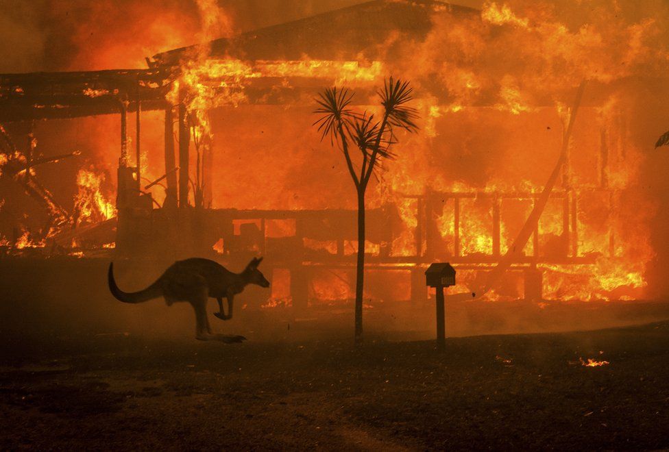Bushfires-in-australia