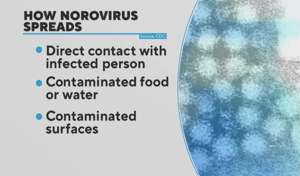 Norovirus Spreading Across US, Northeast Region Hardest Hit