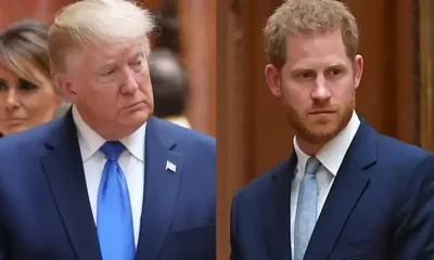 Donald Trump's Remarks About Prince Harry Get a Royal Expert's Reaction