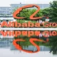 Alibaba Revival: $200 Million Insider Bet, Massive Buybacks