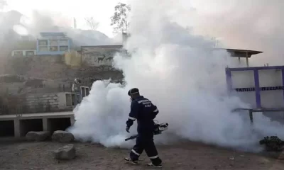 'Imminent' Dengue Outbreak In Peru Declares Health Emergency