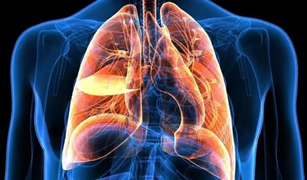 Air Pollution Boosts Heart and Lung Hospitalizations Study Reveals