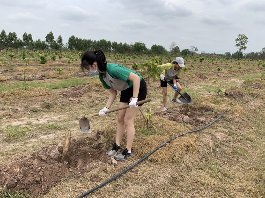 Thailand Plants Trees to Combat Climate Change