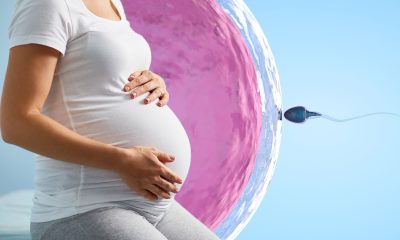 Thailand to Offer Free In Vitro Fertilisation IVF