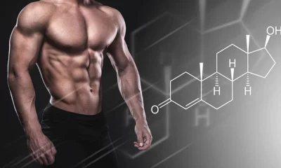 Effective Strategies for Purchasing Dianabol Online in the USA: A User's Guide