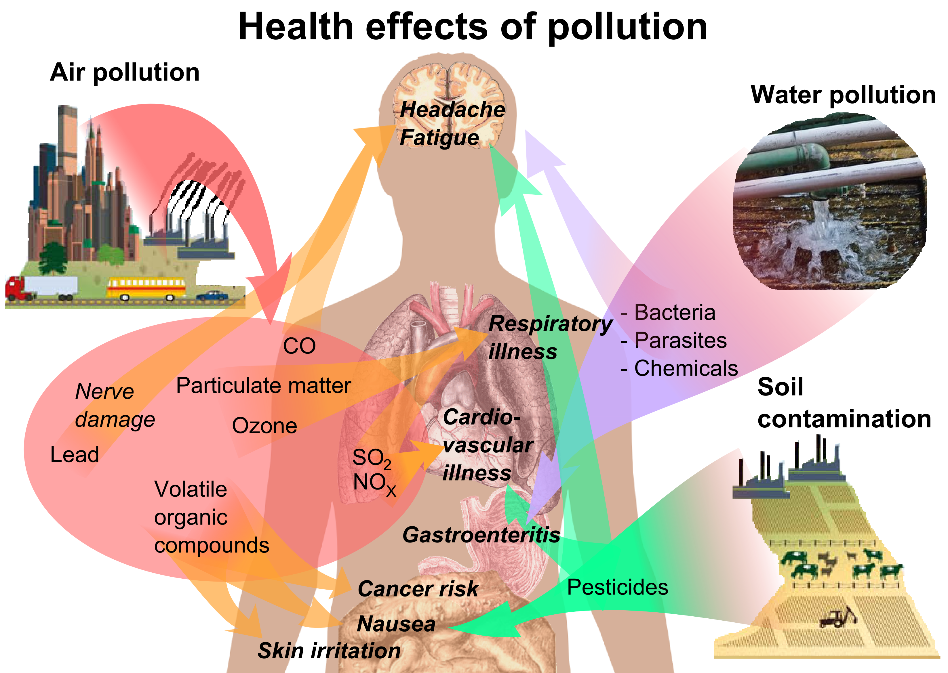 Health effects of pollution