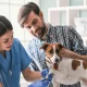 The Vital Role of Regular Veterinary Check-ups in Pet Care