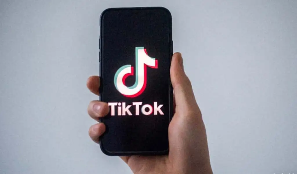 TikTok Triumph: A Comprehensive Guide to Launching Your Success Story