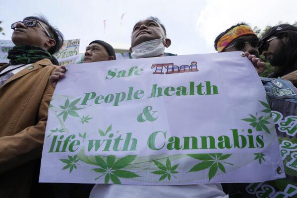 Thailand Does a Complete U-Turn on Recreational Marijuana