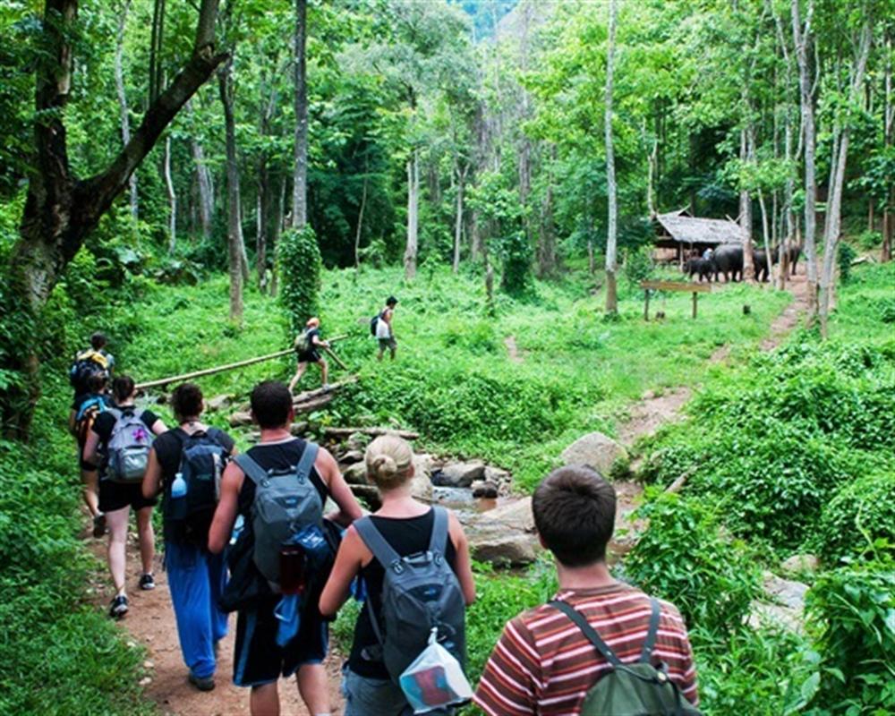 trekking Chiang Rai