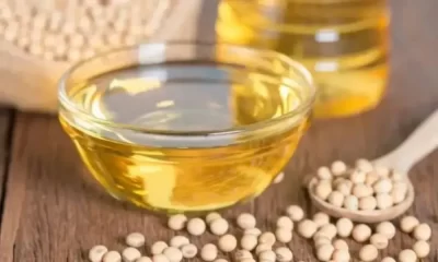 Studies Suggest Soybean Oil Diets May Cause Diabetes And Obesity
