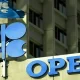 OPEC Is Encouraged By The IEA's Commentary On Oil Security