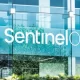 SentinelOne's Growth Outlook Remains Positive Amid Q4 Earnings Expectations