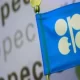 A Reduction In OPEC's Production Was Announced In February