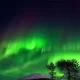 Earth Struck By Geomagnetic Storm: Global Auroras, Disruptions Expected