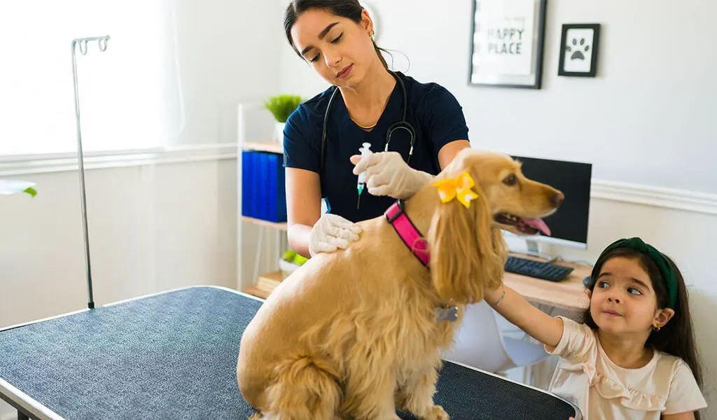 Debunking Myths About Pet Medications: Insights from PetPawsRx