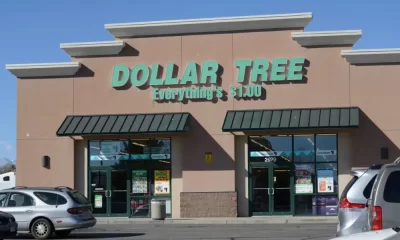 Dollar Tree Raises Prices Again to $7 Amid Store Closures and Losses