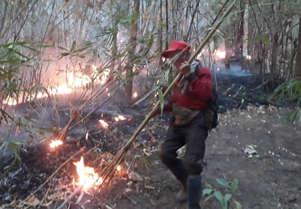 Firefighters Struggling to Contain Wildfires in Chiang Mai 1