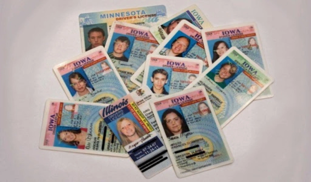Revolutionizing the Roads: The Impact of Italian Collector's Driver's Licenses
