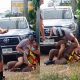 New Zealanders Arrested in Phuket for Assaulting a Police Officer