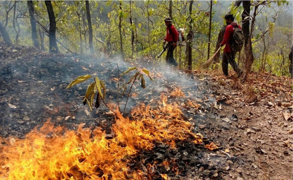 Wildfires in Chiang Mai