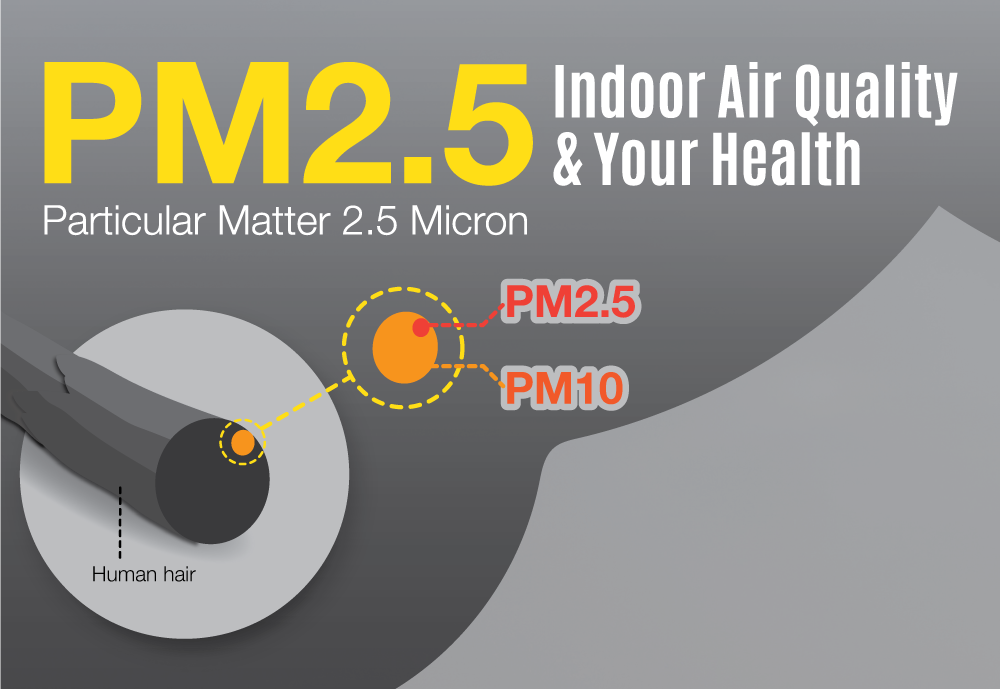 Particle pollution from fine particles (PM2.5)
