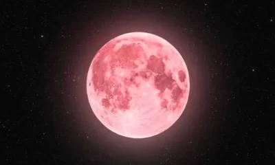 Pink Full Moon