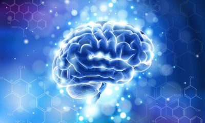 Brain Biohacking: Why Are Nootropics Gaining Popularity?