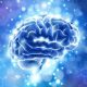Brain Biohacking: Why Are Nootropics Gaining Popularity?