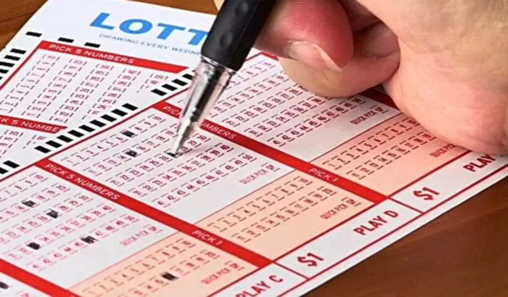 Nagaland State Lottery Result 8PM Winners List April 30, 2024: 1 Crore First Prize