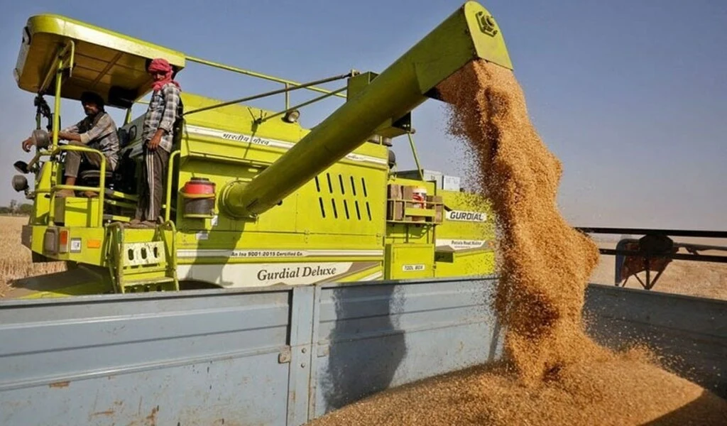 Russia Issues Warning to Pakistan Over Rice Imports