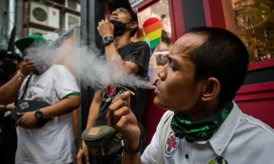 Thailand's Cannabis Policy Embracing a Nuanced Approach for Health and Economy