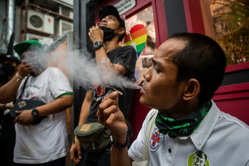 Thailand's Cannabis Policy Embracing a Nuanced Approach for Health and Economy