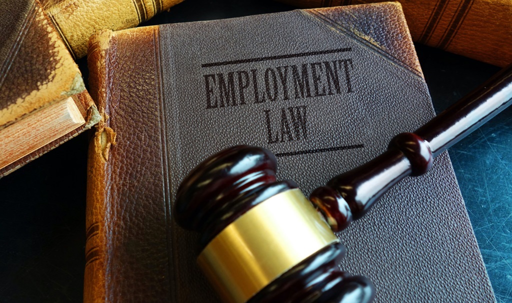 An employment lawyer offers relevant legal advice and counseling to employers as well as an employee on different matters.