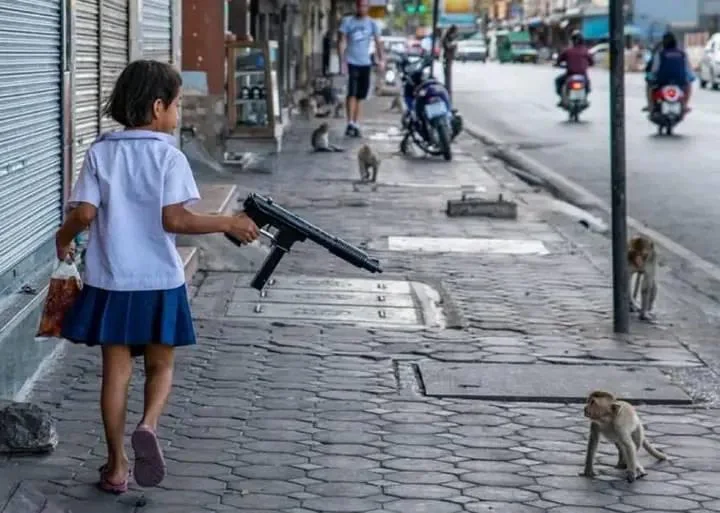 Monkeys attack lopburi