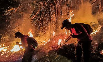 Massive Wildfires Rage Across Northern Thailand