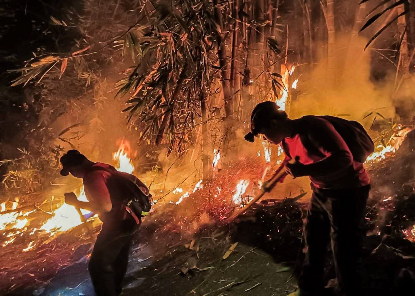 Massive Wildfires Rage Across Northern Thailand